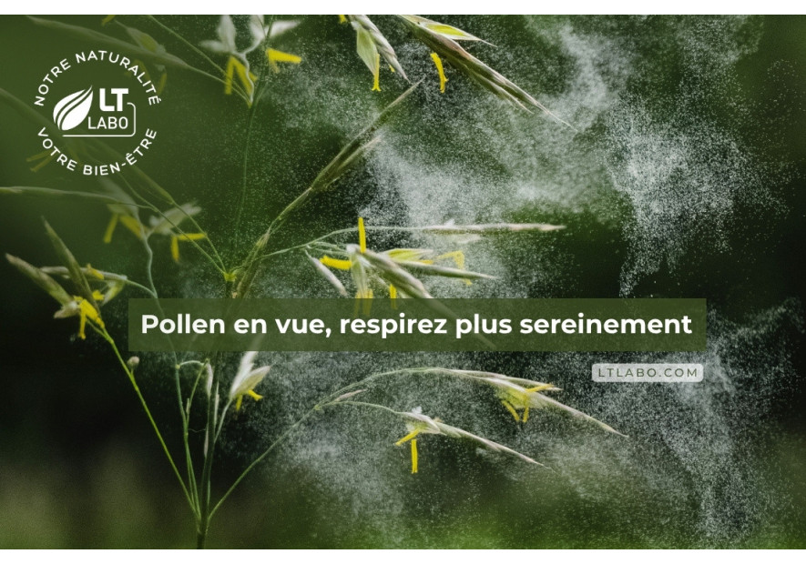 Inconforts respiratoires saisonniers : les bons réflexes naturels